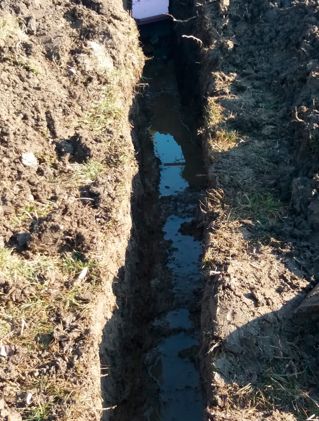 Excavation of graves